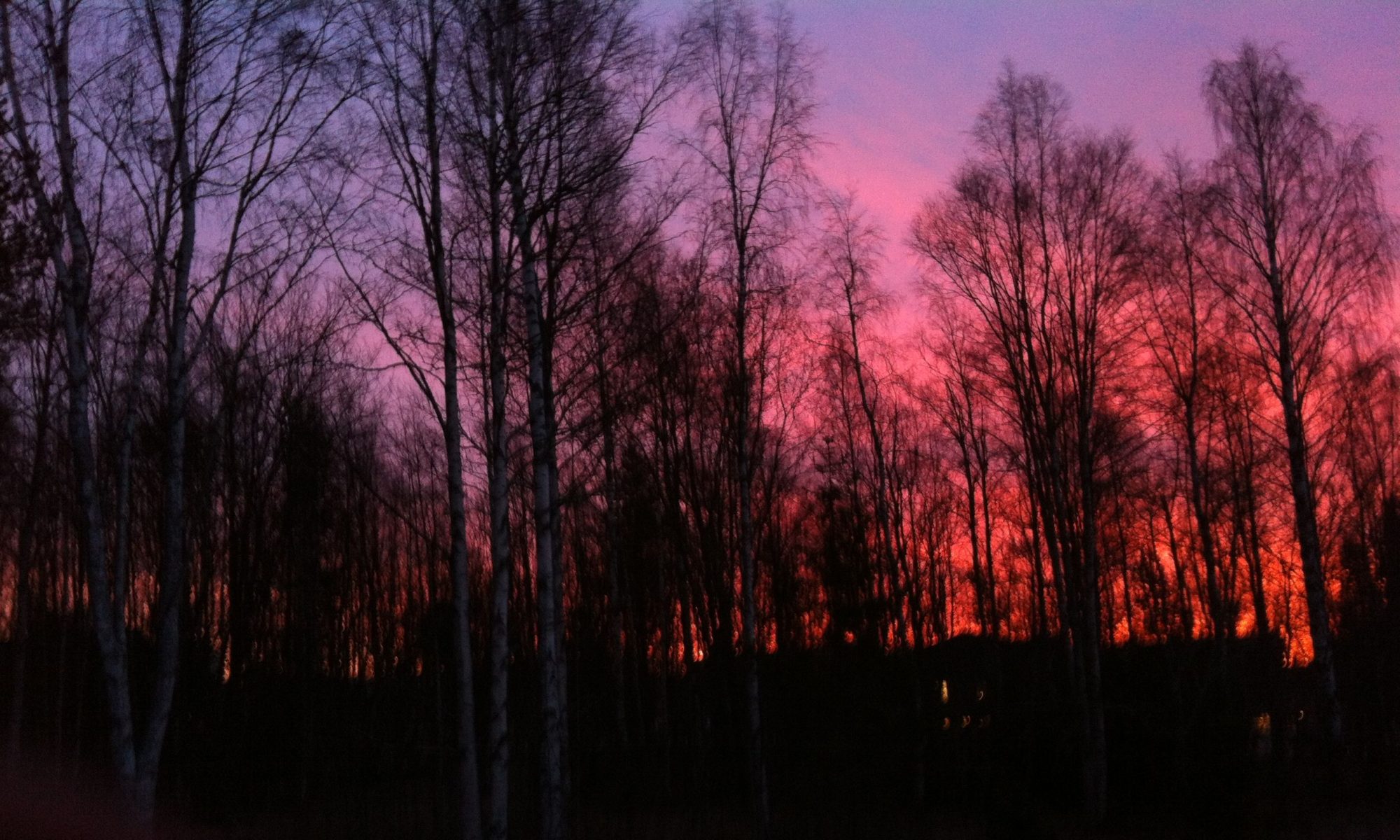 molly wright steenson